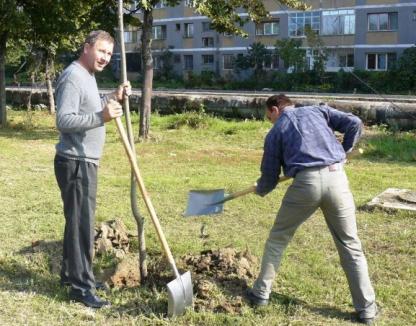 Adenandra plantează aproape 800 de copaci în Oradea